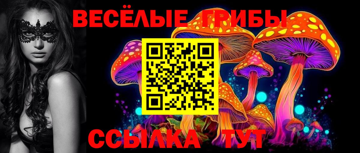 Галлюциногенные грибы мицелий Новороссийск